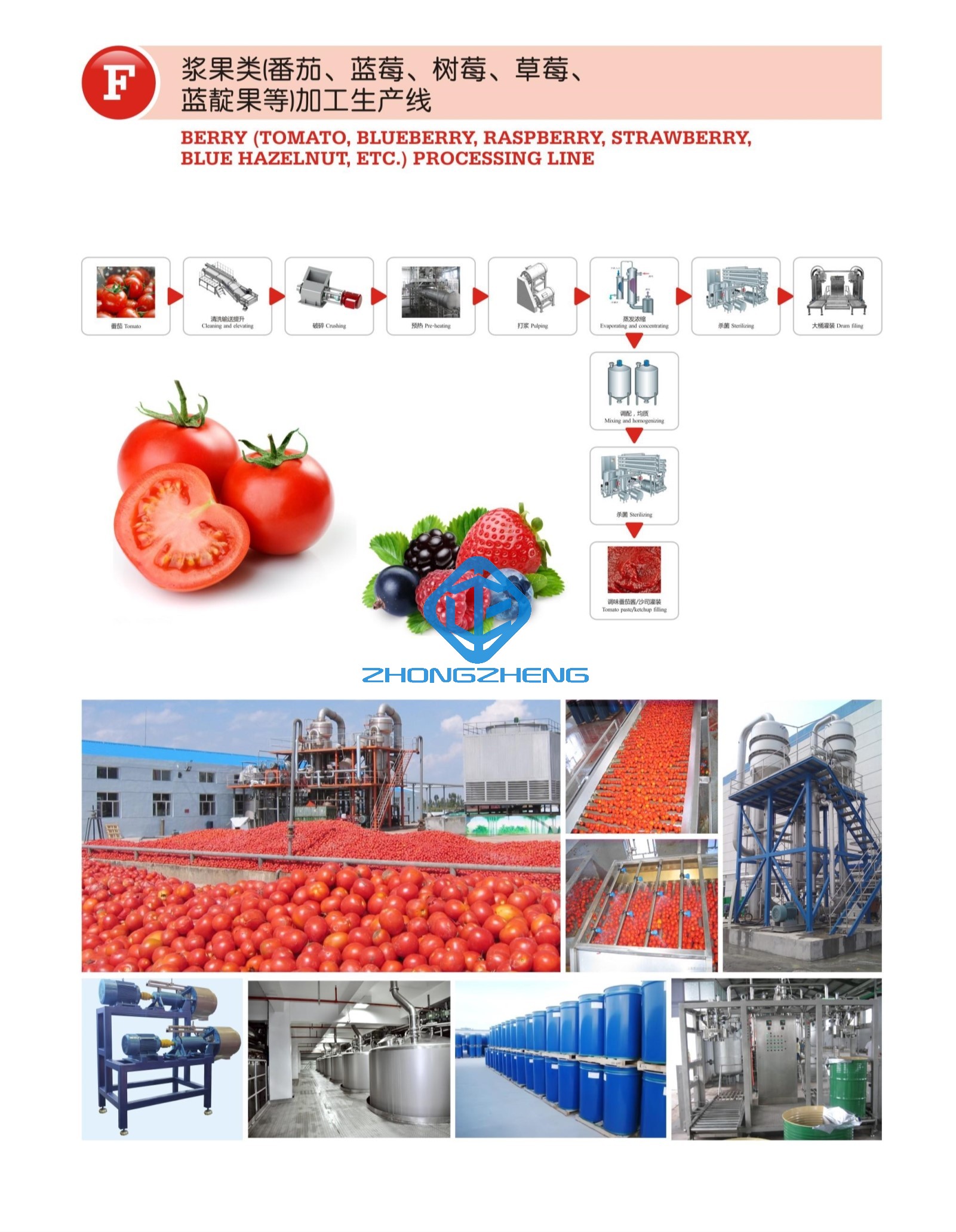 Berry (tomato Blueberry, Raspberry, Strawberry, Nut, Etc.) Processing Line